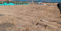Lote en venta en el sector de Cimarrones