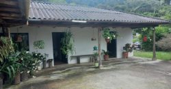 Finca en Venta Buesaco