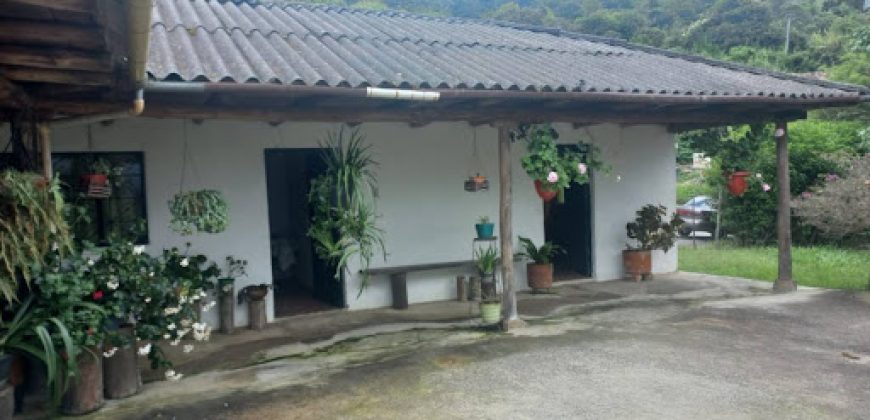 Finca en Venta Buesaco