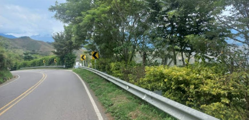 Finca en Venta Buesaco