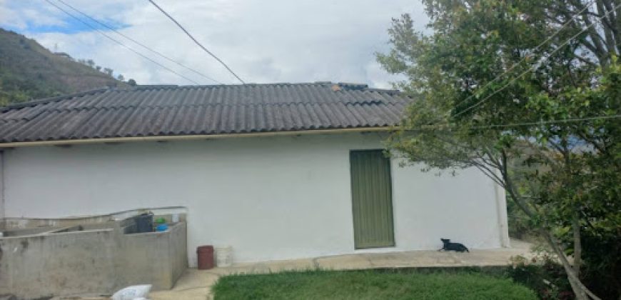 Finca en Venta Buesaco
