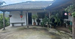 Finca en Venta Buesaco