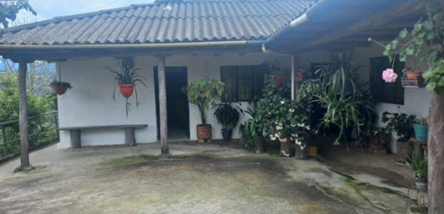 Finca en Venta Buesaco