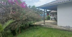 Finca en Venta Buesaco