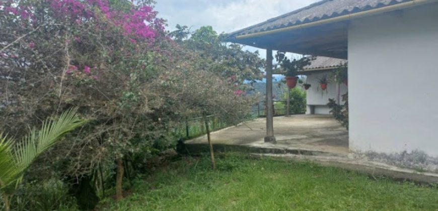 Finca en Venta Buesaco