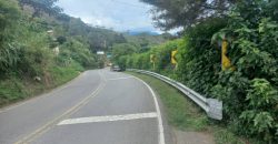 Finca en Venta Buesaco