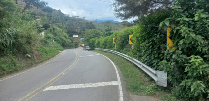 Finca en Venta Buesaco