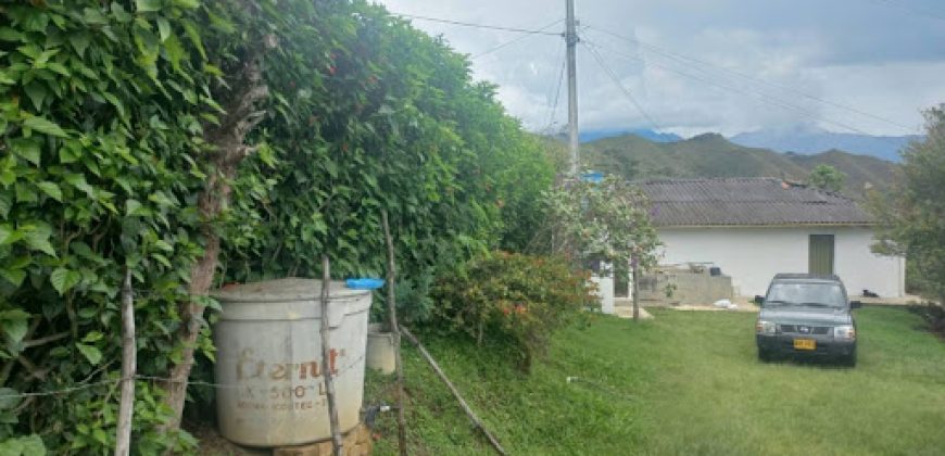 Finca en Venta Buesaco