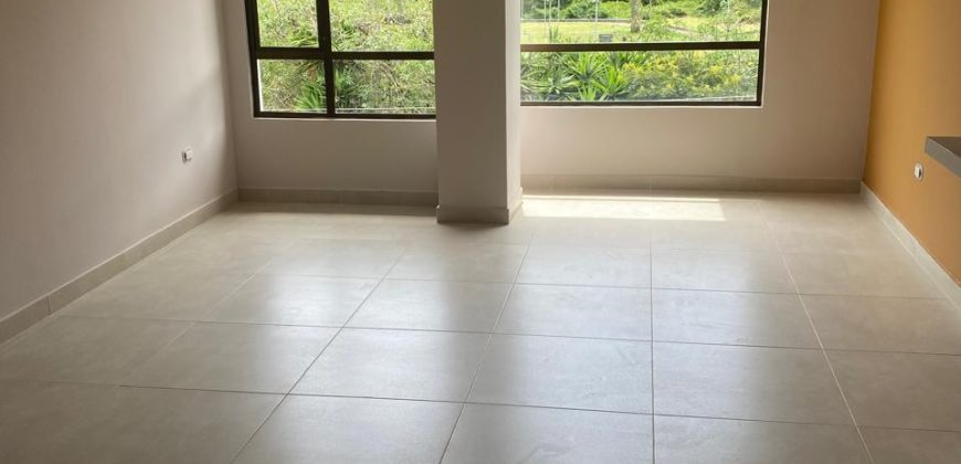 Apartamentos en Venta Ed San Carlos