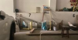 Apartamentos en Venta Ed San Carlos