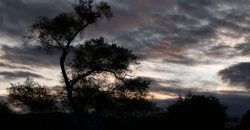 Casa Campestre en Venta  Altos de Chapalito