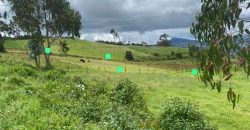 Lote en Venta Catambuco
