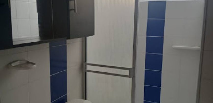 Apartamento en Arriendo Balcones de la Carolina