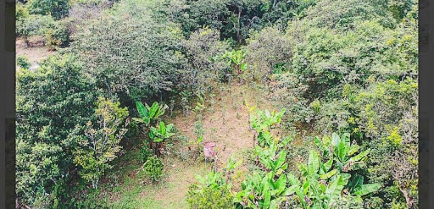 Casa finca en venta en chachagui