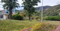 Finca en arriendo en el centro del municipio de chachagui