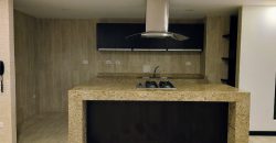 Apartaestudio en Arriendo en Palermo