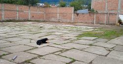 Bodega en arriendo en Calambuco