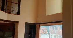 Apartamento en arriendo pandiaco