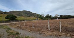 Lote en venta Chachagüí
